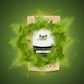 MACX MATCHA GREEN TEA